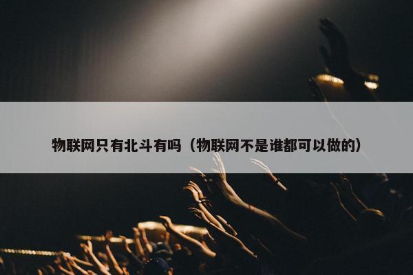 物联网只有北斗有吗（物联网不是谁都可以做的）