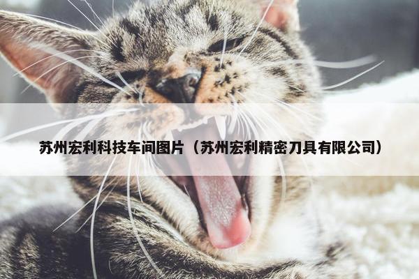 苏州宏利科技车间图片（苏州宏利精密刀具有限公司）