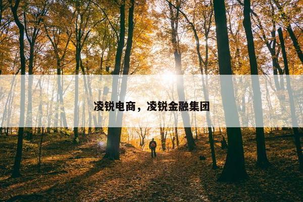 凌锐电商，凌锐金融集团
