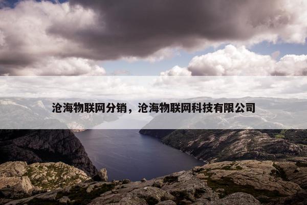 沧海物联网分销，沧海物联网科技有限公司
