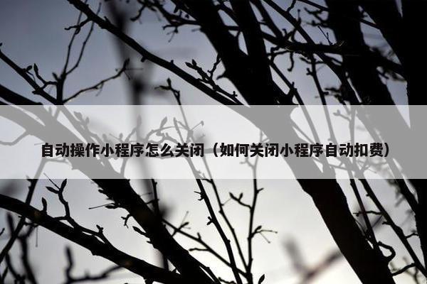 自动操作小程序怎么关闭（如何关闭小程序自动扣费）