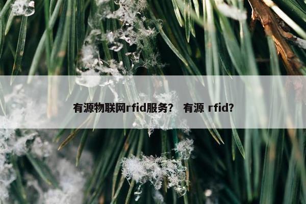 有源物联网rfid服务？ 有源 rfid？