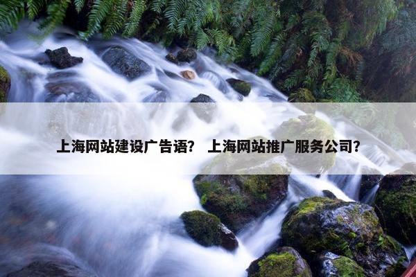 上海网站建设广告语？ 上海网站推广服务公司？