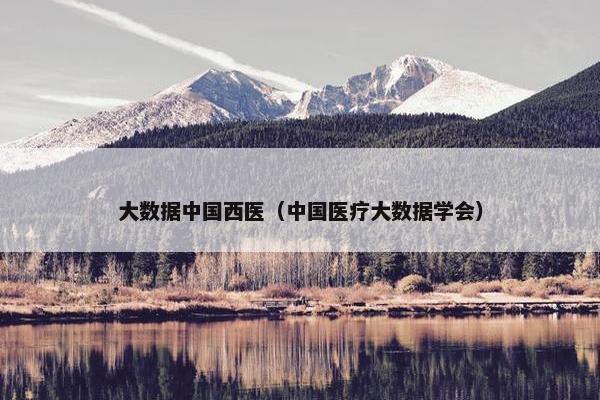 大数据中国西医（中国医疗大数据学会）