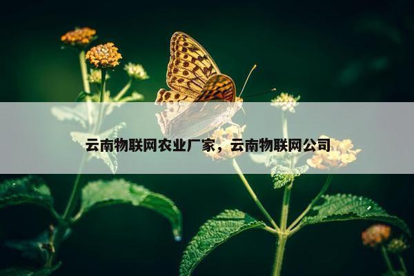 云南物联网农业厂家，云南物联网公司