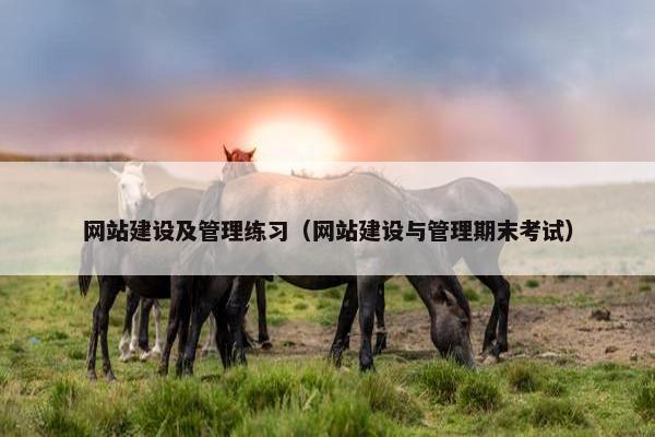 网站建设及管理练习（网站建设与管理期末考试）