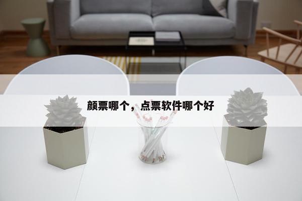 颜票哪个，点票软件哪个好