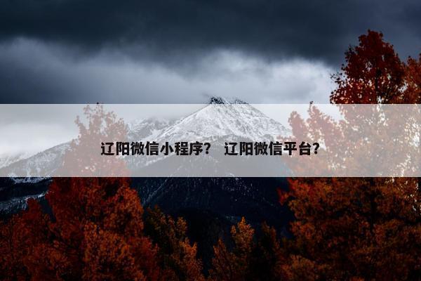 辽阳微信小程序？ 辽阳微信平台？