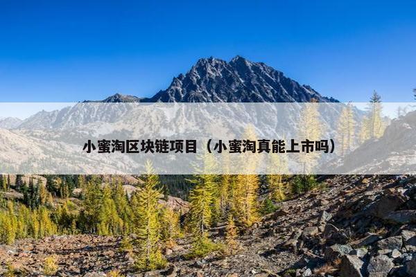 小蜜淘区块链项目（小蜜淘真能上市吗）