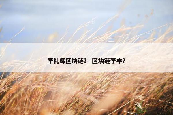 李礼辉区块链？ 区块链李丰？