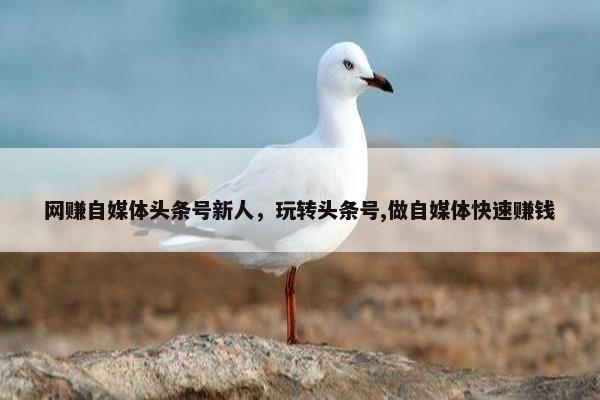 网赚自媒体头条号新人，玩转头条号,做自媒体快速赚钱