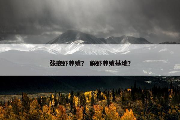 张掖虾养殖？ 鲜虾养殖基地？