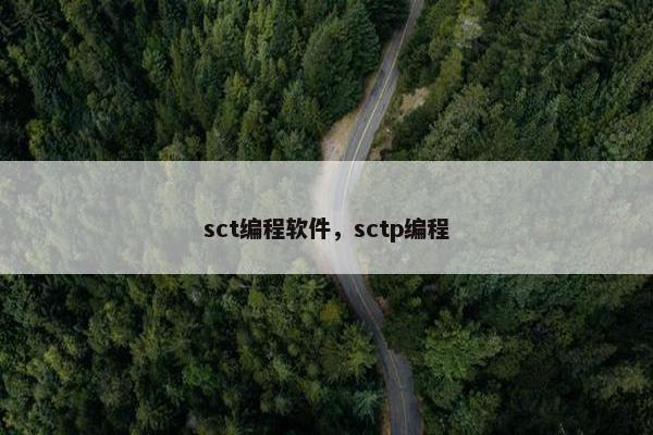 sct编程软件，sctp编程