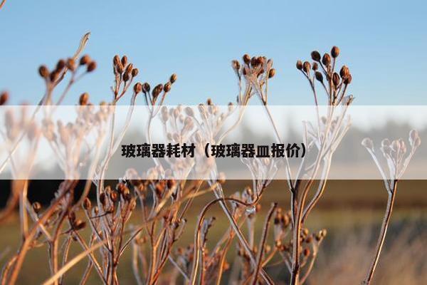 玻璃器耗材（玻璃器皿报价）