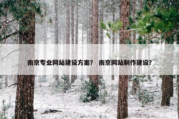 南京专业网站建设方案？ 南京网站制作建设？