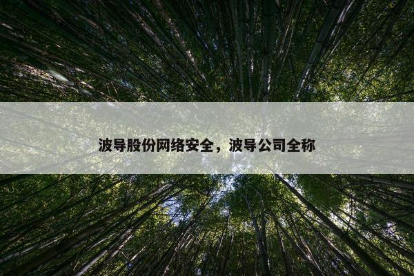 波导股份网络安全，波导公司全称