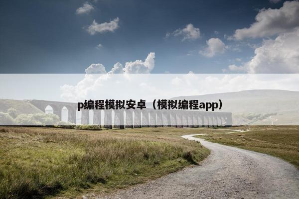 p编程模拟安卓（模拟编程app）