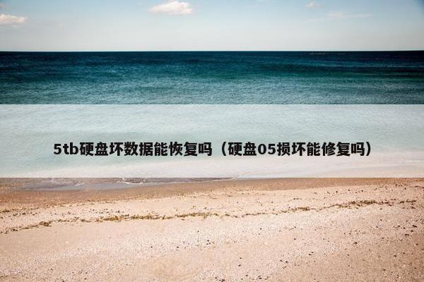 5tb硬盘坏数据能恢复吗（硬盘05损坏能修复吗）