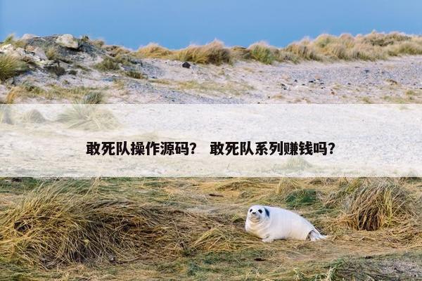 敢死队操作源码？ 敢死队系列赚钱吗？