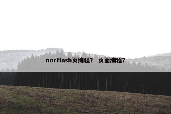 norflash页编程？ 页面编程？