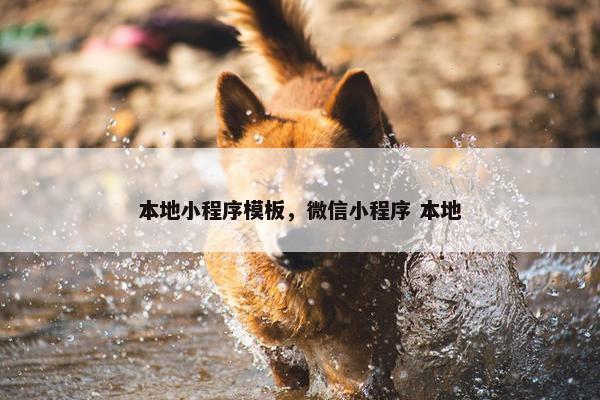本地小程序模板，微信小程序 本地