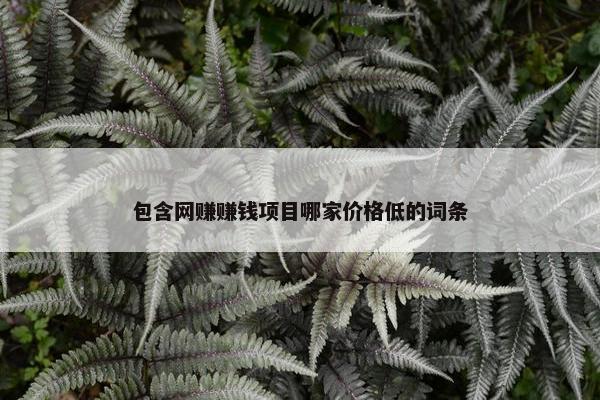 包含网赚赚钱项目哪家价格低的词条