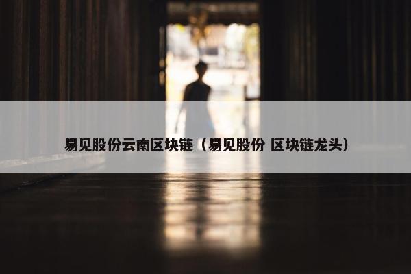 易见股份云南区块链（易见股份 区块链龙头）