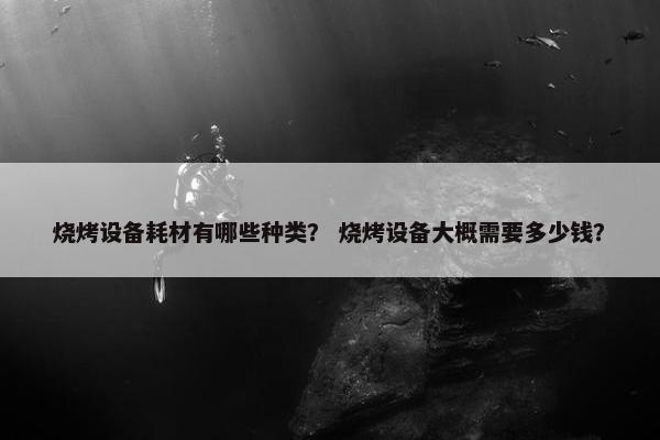 烧烤设备耗材有哪些种类？ 烧烤设备大概需要多少钱？