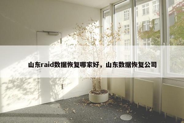 山东raid数据恢复哪家好，山东数据恢复公司
