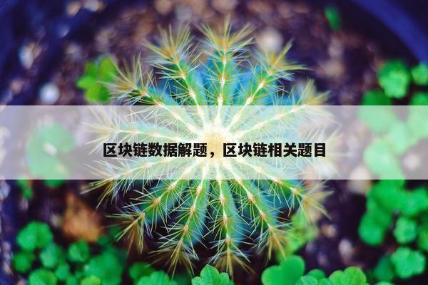 区块链数据解题，区块链相关题目