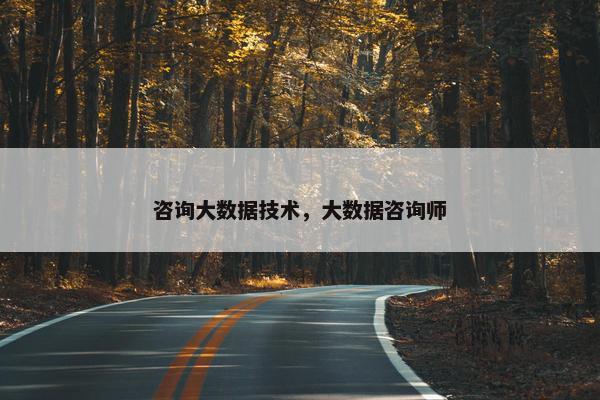 咨询大数据技术，大数据咨询师
