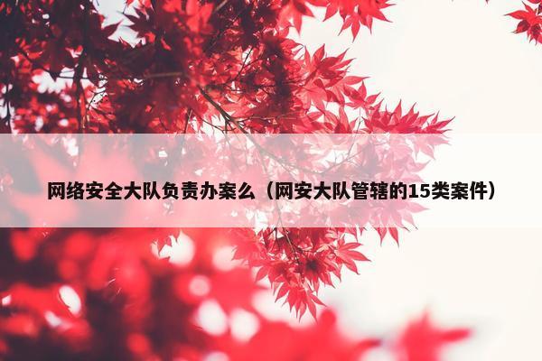 网络安全大队负责办案么（网安大队管辖的15类案件）