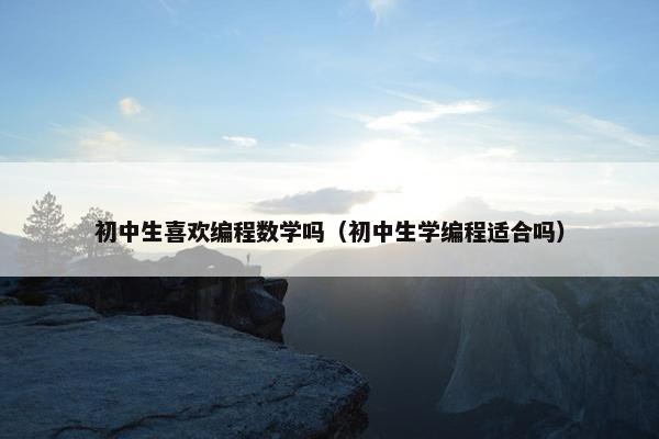 初中生喜欢编程数学吗（初中生学编程适合吗）
