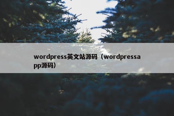 wordpress英文站源码（wordpressapp源码）