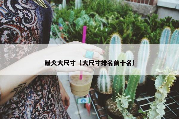 最火大尺寸（大尺寸排名前十名）