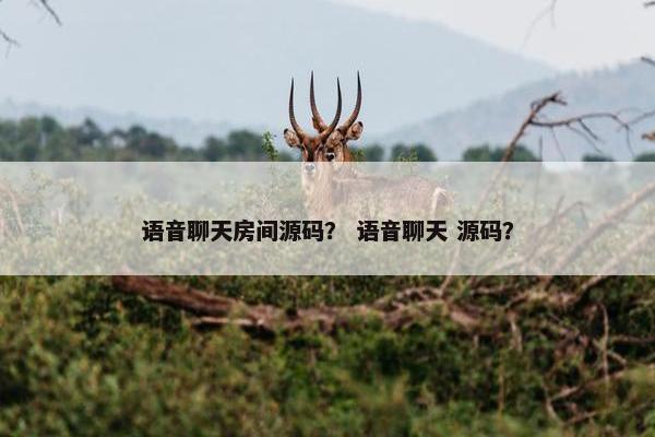语音聊天房间源码？ 语音聊天 源码？