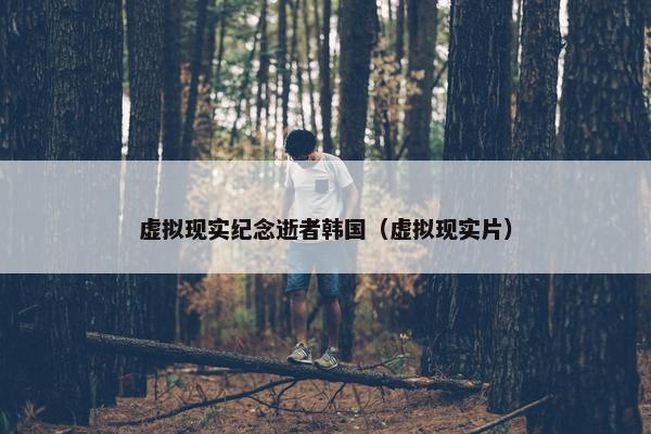 虚拟现实纪念逝者韩国（虚拟现实片）