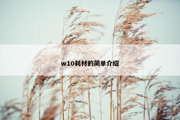 w10耗材的简单介绍