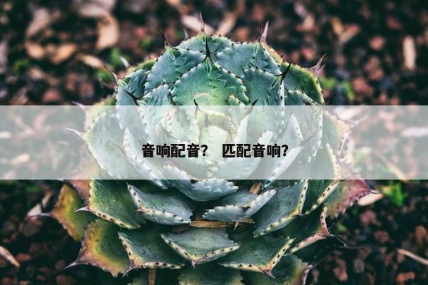 音响配音？ 匹配音响？