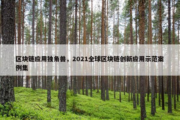 区块链应用独角兽，2021全球区块链创新应用示范案例集
