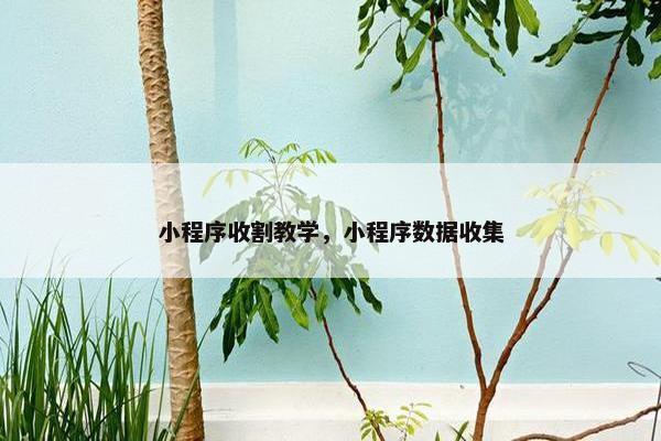 小程序收割教学，小程序数据收集