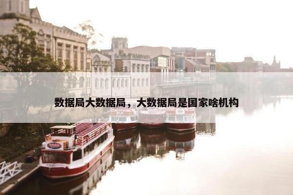 数据局大数据局，大数据局是国家啥机构