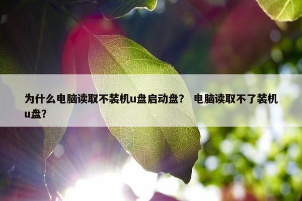 为什么电脑读取不装机u盘启动盘？ 电脑读取不了装机u盘？