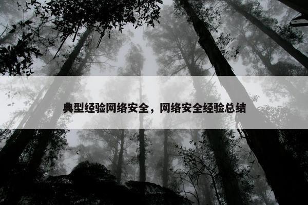 典型经验网络安全，网络安全经验总结