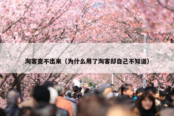 淘客查不出来（为什么用了淘客却自己不知道）