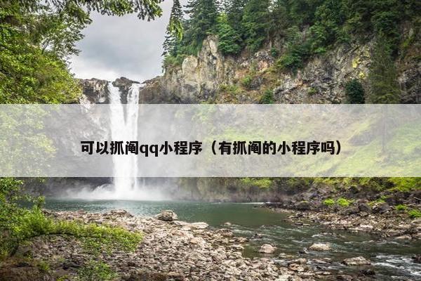 可以抓阄qq小程序（有抓阄的小程序吗）