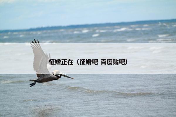征婚正在（征婚吧 百度贴吧）