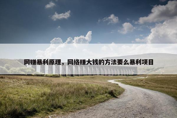 网赚暴利原理，网络赚大钱的方法要么暴利项目