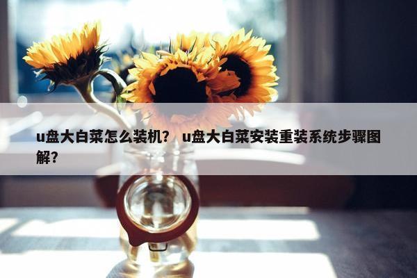u盘大白菜怎么装机？ u盘大白菜安装重装系统步骤图解？