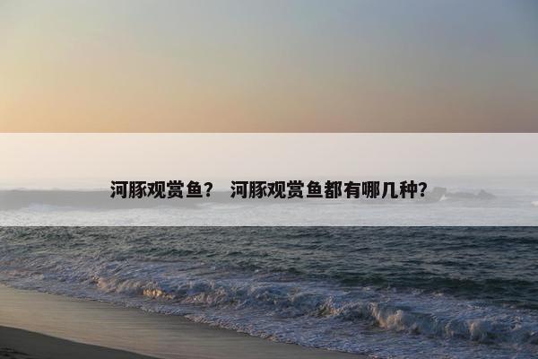 河豚观赏鱼？ 河豚观赏鱼都有哪几种？